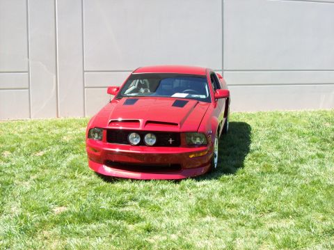 2007 Ford Mustang - A red sports car is parked on a grassy area with a blurred background.