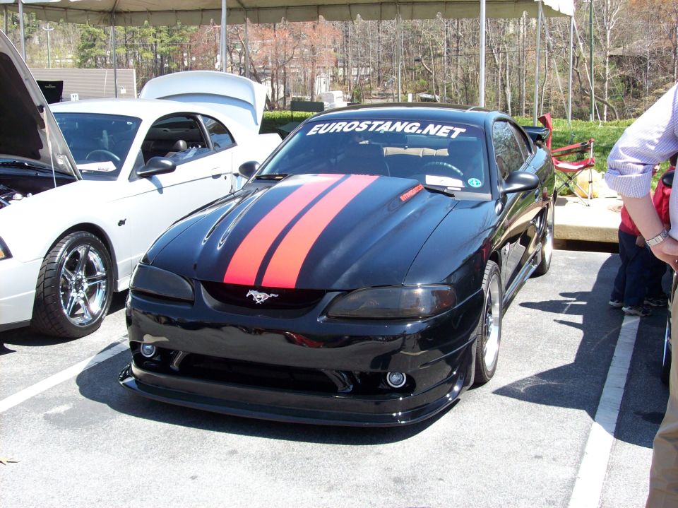 Black Ford Mustang with red stripes and "EUROSTANG.NET" banner parked next to a white Mustang.