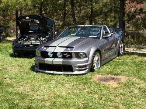 2007 Ford Mustang - Two Ford Mustangs are parked on a grassy area with trees in the background.