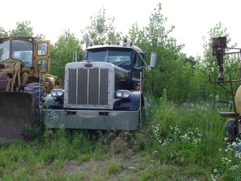 1982 Peterbilt 359 photo