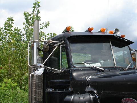 1982 Peterbilt 359 photo