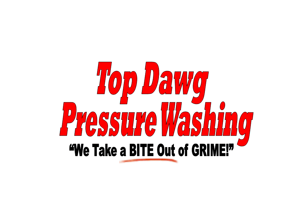 Top Dawg Pressure Washing logo graphic in red text on white