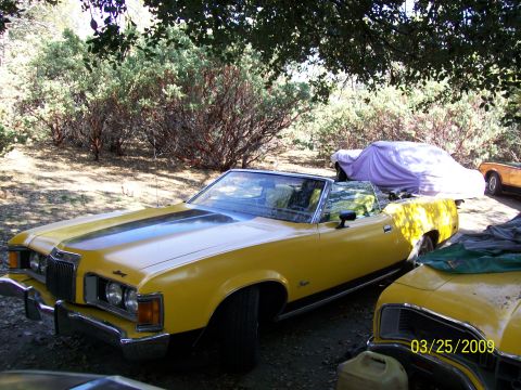 1973 Mercury Cougar - A yellow 1973 Mercury Cougar convertible is parked next to other vehicles under a canopy of trees.