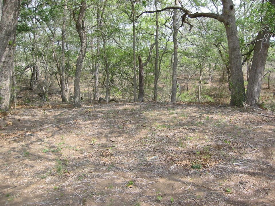 clearing in woods with trees and dry ground cover, "SUPER MOTORS" logo in corner