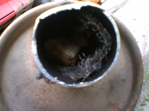 1981 Ford Bronco - I couldn't get a picture of the inside of the cat, but this is the inside of the muffler. Those are chunks and pieces of the old cat in the…
