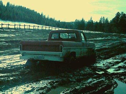 1968 Ford F-250 - This pickup truck is stuck in a muddy field, with trees and a fence in the background. The license plate is visible.