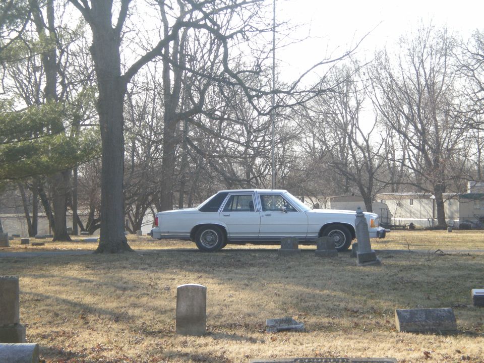 White 1980s Ford LTD Crown Victoria sedan parked in a cemetery, side view