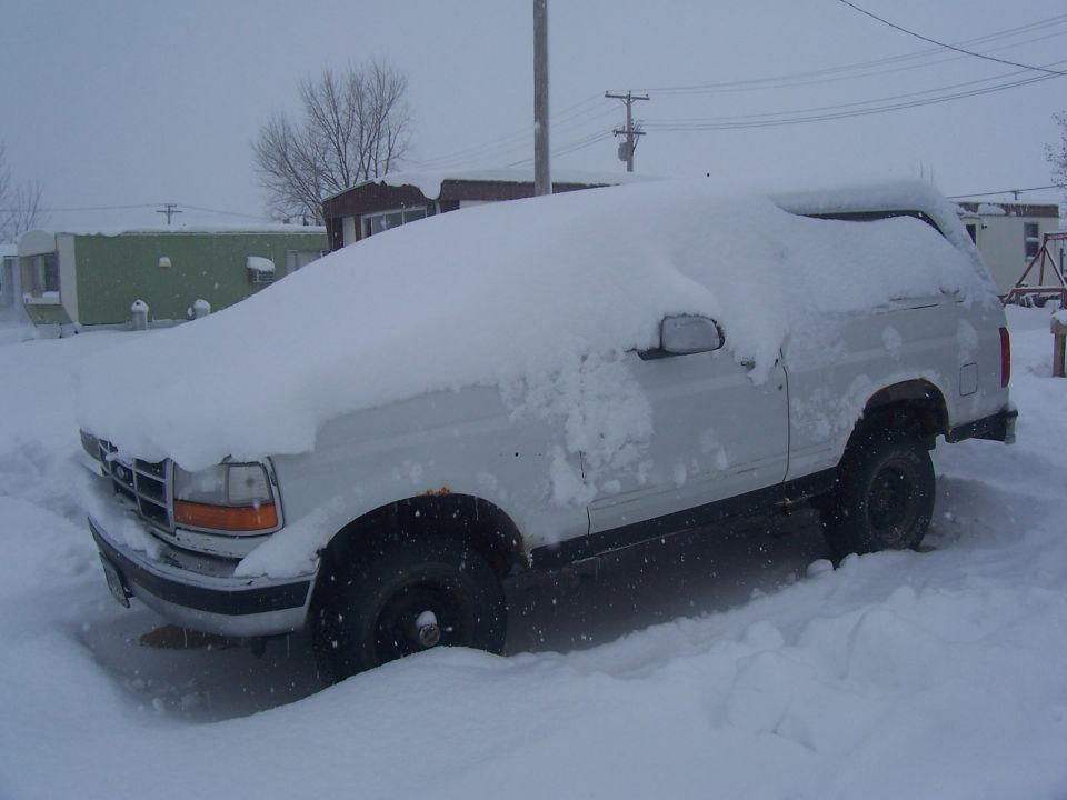 1985 Ford Bronco “Big Ugly”