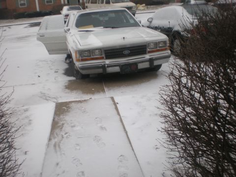 1988 Ford Crown Victoria LTD - A white 1988 Ford Crown Victoria LTD sits in the snow with its driver's door ajar.
