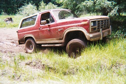 1985 Ford Bronco - This red 1985 Ford Bronco is stuck in the mud, with tall grass surrounding it.