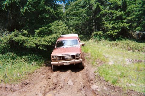 1985 Ford Bronco photo