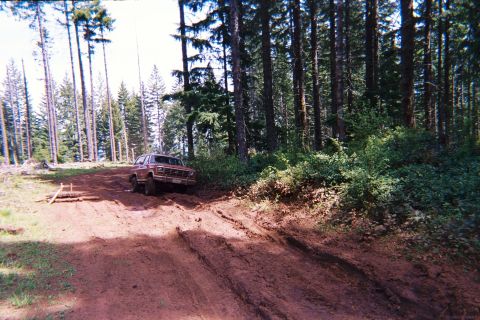 1985 Ford Bronco photo