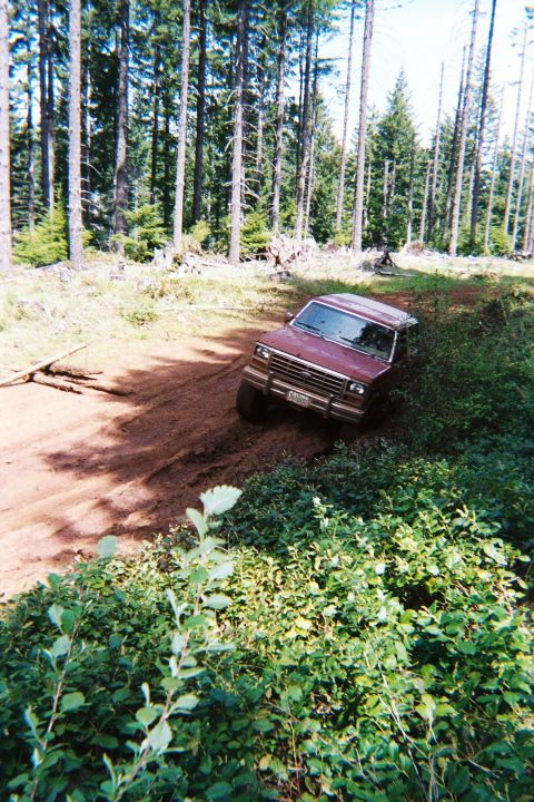 1985 Ford Bronco photo