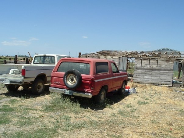 Here's where it sat for four years before I got it, baking in the California sun.  I had remembered seeing it before, but never paid any attention.  

1981 Ford Bronco with a 300 straight six.