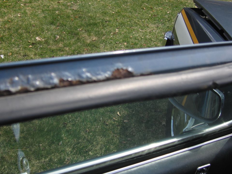Close-up of rusted window trim on a dark-colored car, with grass and a side mirror visible