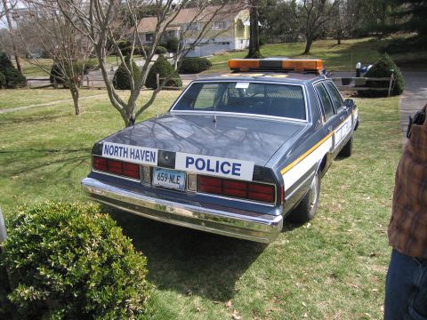 1991 Ford LTD Crown Victoria - Rear view of a dark blue police car with yellow and white stripes, parked on a grassy lawn.