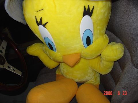 1973 Ford Ranchero - tweety close up.