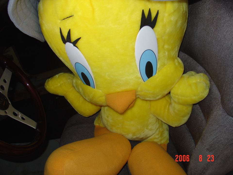 tweety close up.