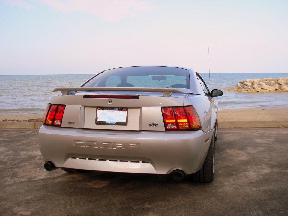 Rear of a silver Ford Mustang Cobra parked by the water