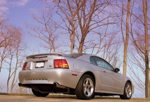 1998 Ford Taurus - Silver coupe with 'COBRA' badging on rear, seen from rear 3/4 angle. The registry label of 1998 Ford Taurus is incorrect.