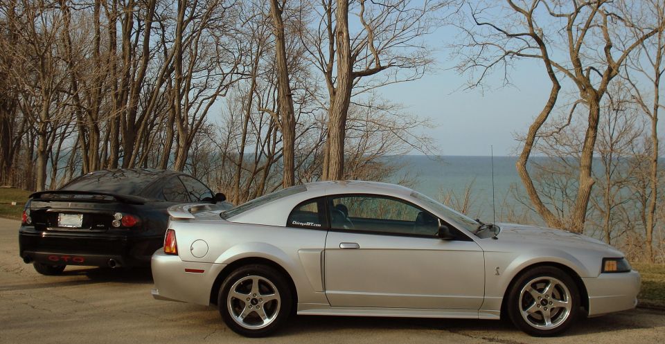 Silver Ford Mustang and black Pontiac GTO parked outdoors near trees and water
