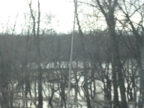 1978 Ford Bronco - A flooded landscape with bare trees and their reflections creates a somber, wintry scene.