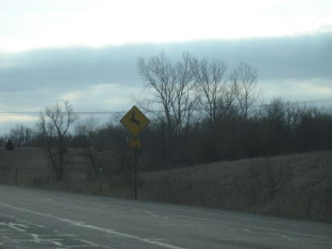 1978 Ford Bronco - A deer crossing sign is visible on the side of a road with trees and a hill in the background.
