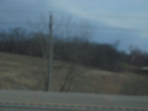 1978 Ford Bronco - A blurry scene shows a telephone pole in a field with trees in the background.