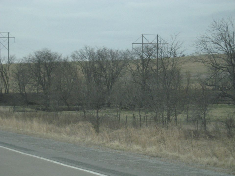 Overcast sky above bare trees and power lines in a rural landscape