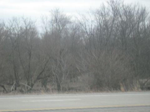 1978 Ford Bronco - A desolate winter scene shows bare trees bordering a road, with an overcast sky overhead.