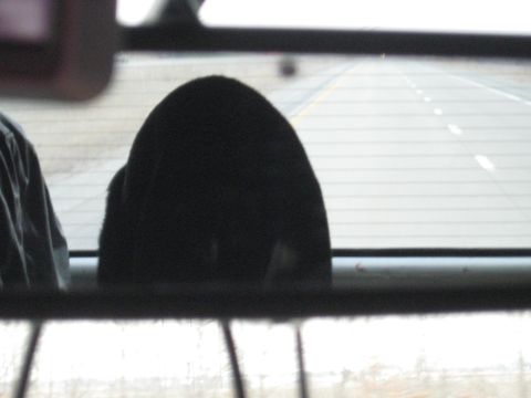 1978 Ford Bronco - Looking out the rear window of a vehicle at a highway stretching into the distance.