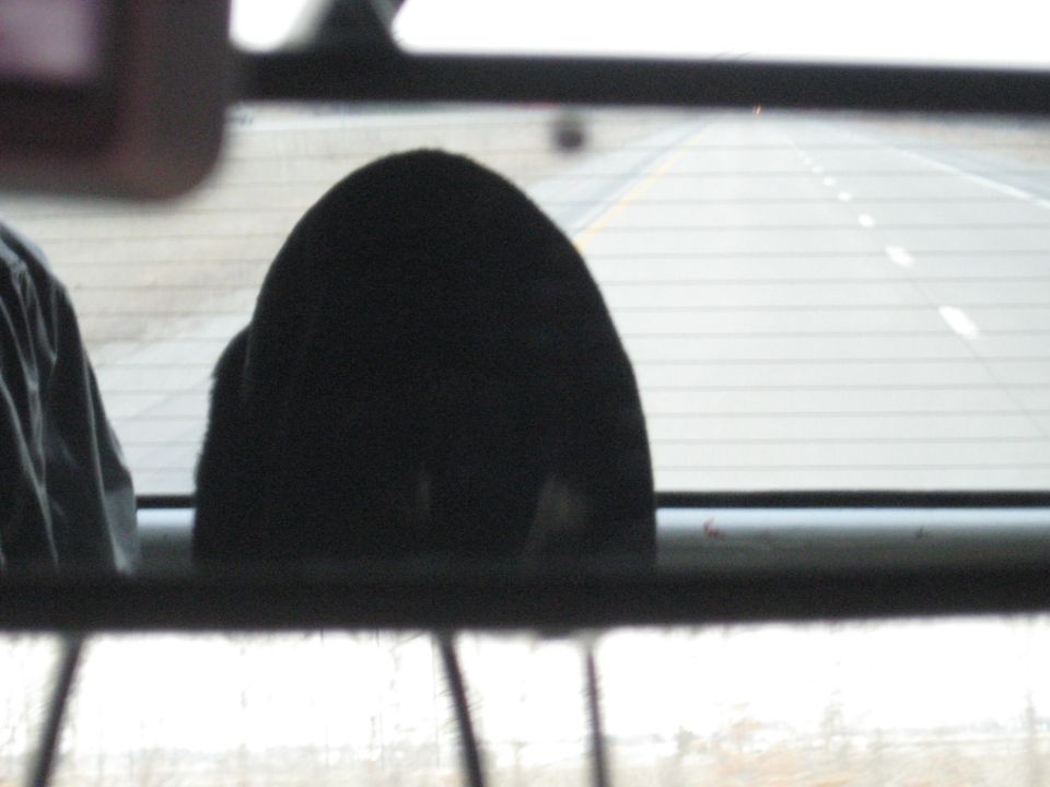 View from inside a vehicle, looking through the rear window at a highway. A dark headrest is visible in the foreground