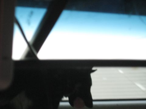 1978 Ford Bronco - A dog's silhouette is visible as it looks out the window of a vehicle.