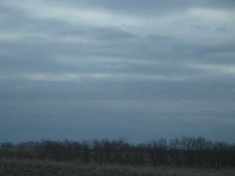 1978 Ford Bronco - A cloudy sky hangs over a desolate landscape with dry grass and leafless trees.