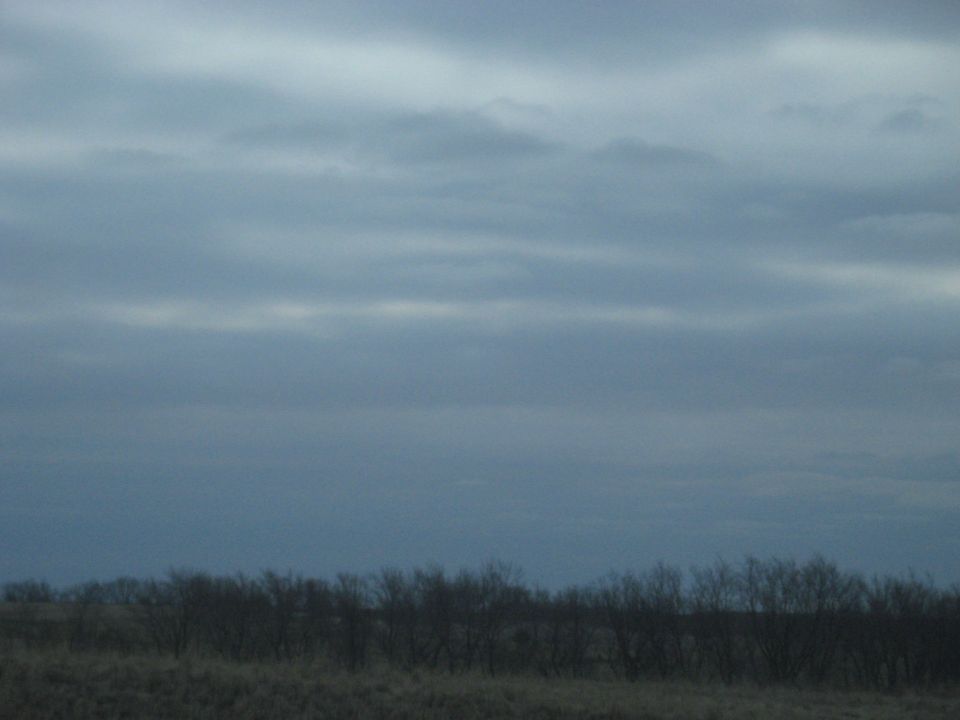 Overcast sky above a line of bare trees and dry grass