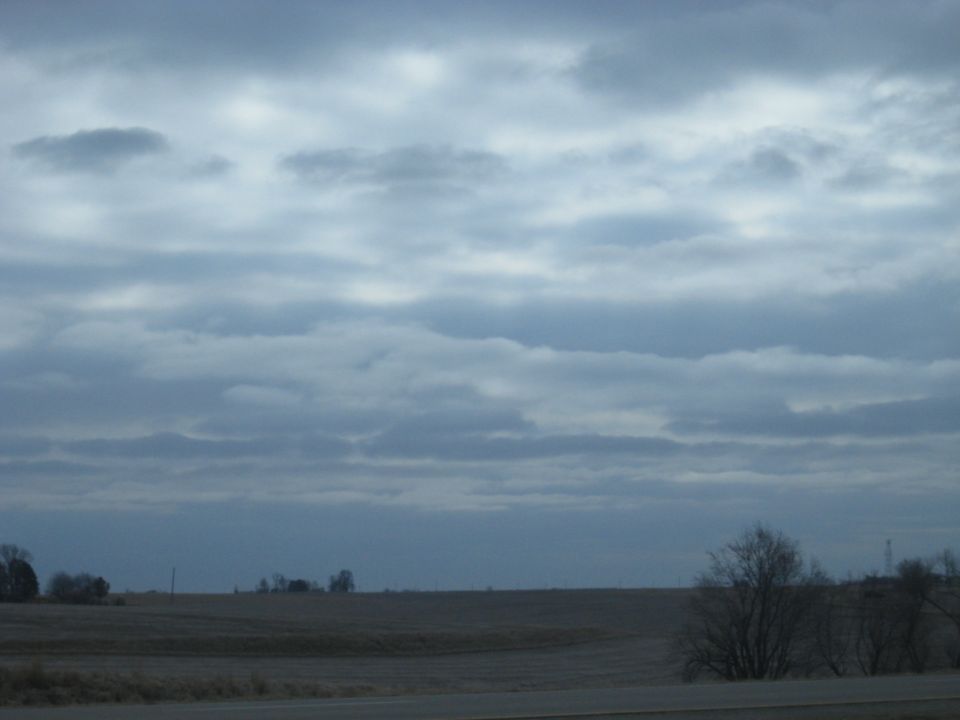 overcast sky over a barren field with some trees in the distance