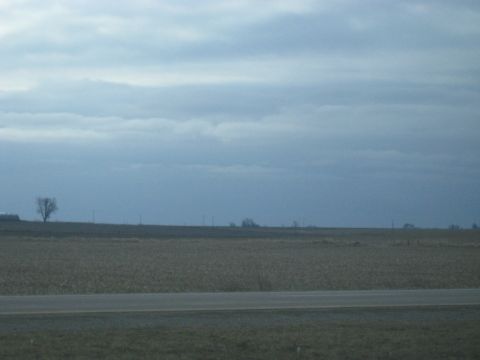 1978 Ford Bronco - A desolate landscape under a cloudy sky, a solitary tree and sparse utility poles in the distance.