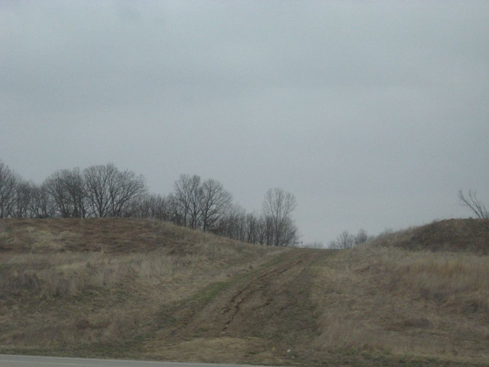 Overcast sky above grassy hills with bare trees