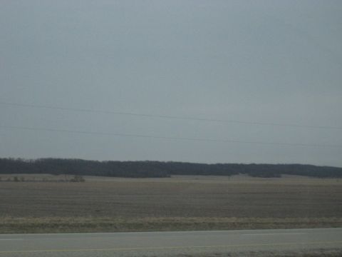 1978 Ford Bronco - A vast, open field stretches towards a distant treeline under a gray, cloudy sky.