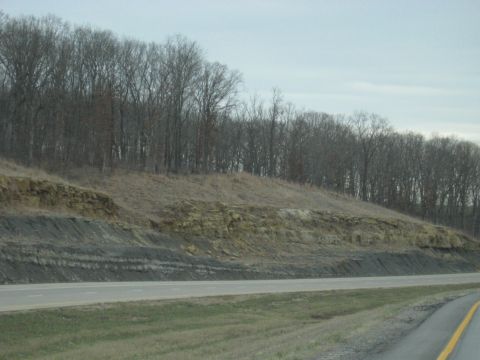 1978 Ford Bronco - A view of geological layers and trees along a highway during an overcast day.