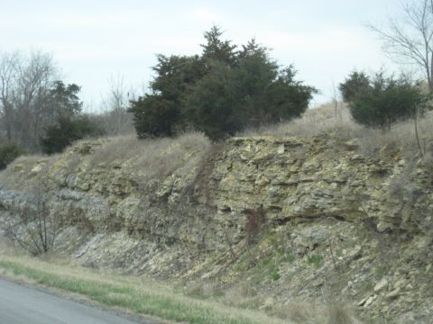 1978 Ford Bronco - A natural scene of a rocky hillside with scattered trees and dry vegetation, likely viewed from a roadside.