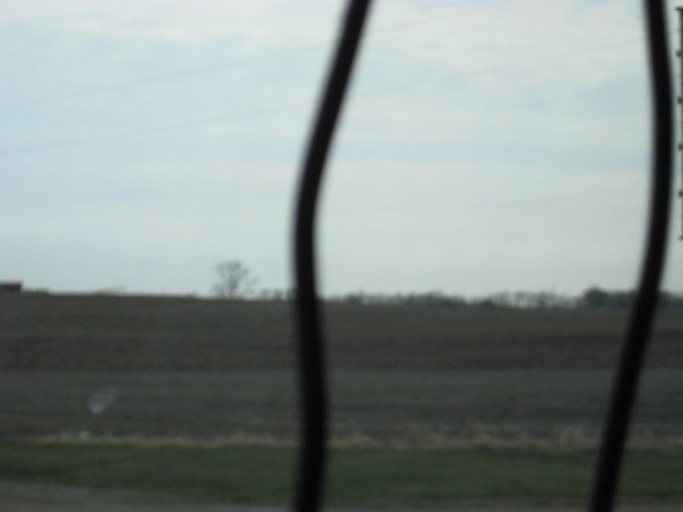 Overcast sky above a barren field with a distant tree