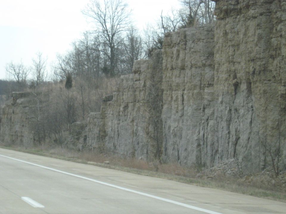 Roadside cliff face with trees on top, seen from a car