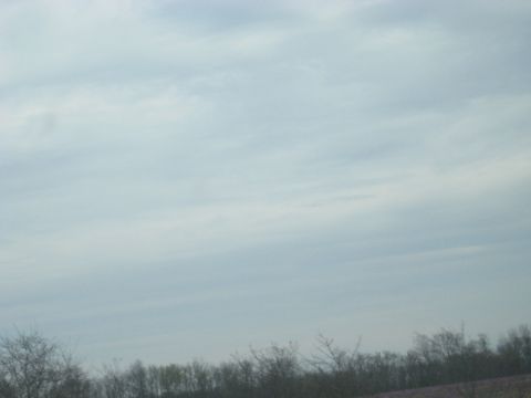 1978 Ford Bronco - A cloudy sky stretches over a distant treeline.