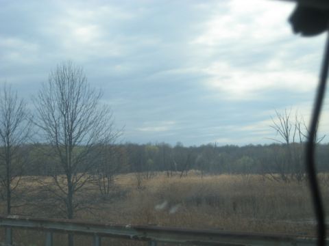 1978 Ford Bronco - View of a field with bare trees under a cloudy sky, likely during autumn or winter.