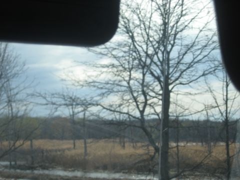 1978 Ford Bronco - The landscape outside the vehicle shows a field of tall, dry grass and trees without leaves under an overcast sky.