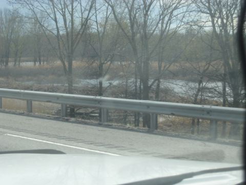 1978 Ford Bronco - A view of a natural landscape with trees and water, seen from a vehicle on a road.