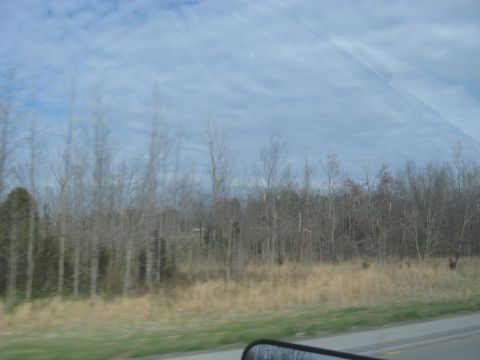 1978 Ford Bronco - A view from a vehicle traveling on a road, showing a landscape of bare trees under a cloudy sky.