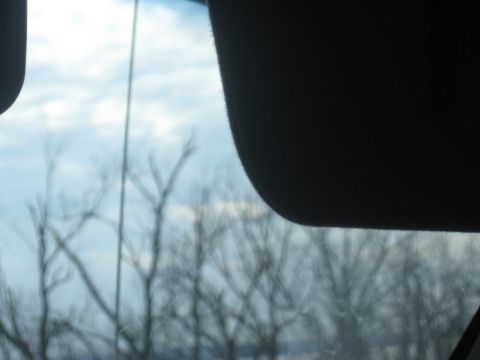1978 Ford Bronco - Looking out from the interior of a vehicle at a winter landscape with bare trees against a cloudy sky.