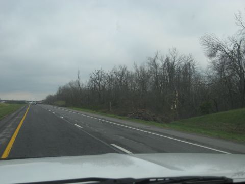 1978 Ford Bronco - Driving on a highway with overcast skies and trees on the side of the road.